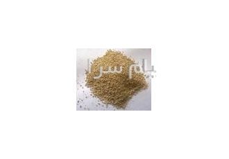خط تولید مخمر نان Yeast خط تولید مخمر نان Yeast ارائه تمامی ماشین آلات