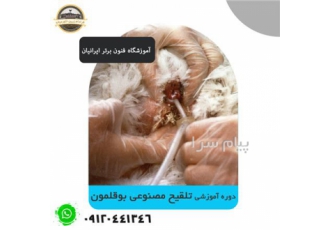 دوره آموزشی تلقیح مصنوعی در بوقلمون در اصفهان اهمیت تلقیح مصنوعی