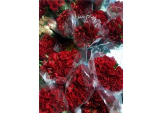 فروش عمده گل رز