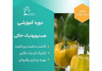 دوره آموزشی کشت گلخانه هیدروپونیک در تهران مدت دوره سه روز همراه