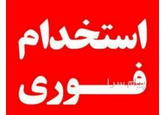 استخدام ویزیتور