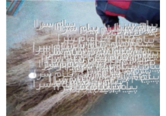 جارو فراشی در آلونی جارو فراشی طبیعی با کیفیت بالا قیمت مناسب