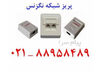 پریز شبکه روکار نگزنس فروش پریز شبکه نگزنس