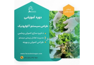 آموزش صفر تا صد راه اندازی کشت آکواپونیک در تهران آکواپونیک برابر است