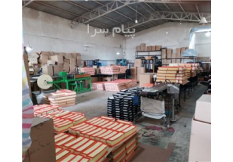 واگذاری شرکت صنعتی تولیدی انواع فیلتر هوای خودرو