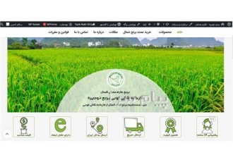 خدمات طراحی وبسایت همراه با پشتیبانی در تهران شرکت سئوجامپر طراحی وب
