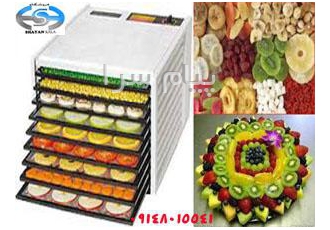 دستگاه چیپس کن میوه فروشگاه شایان کالا