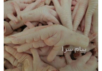 تامین و فروش پا و پنجه مرغ منجمد صادراتی