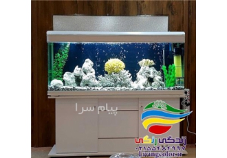 آکواریوم آماده شرکتی