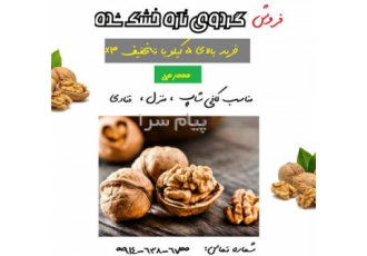 فروش گردو زیر قیمت بازار