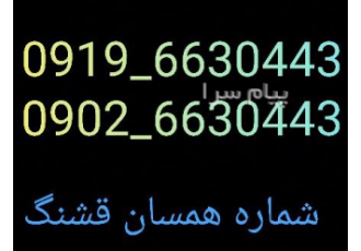 فروش ۲خط سیم‌کارت همزاد دایمی در قم همزاد هردو