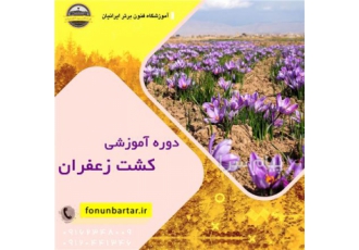 دوره آموزش کشت زعفران در اصفهان این دوره از صفر صفر شروع خواهد شد!