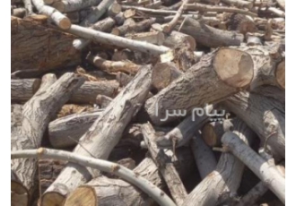 خرید انواع چوب