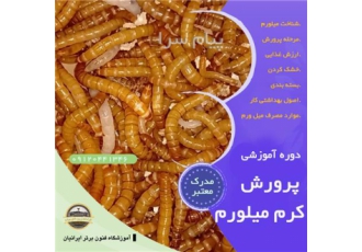 دوره آموزشی پرورش کرم میل ورم در اصفهان اهمیت پرورش میل ورم پرورش کرم