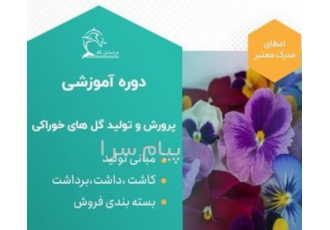 دوره آموزشی تولید گل های خوراکی صفر تا صد تولید در تهران کاربرد گل