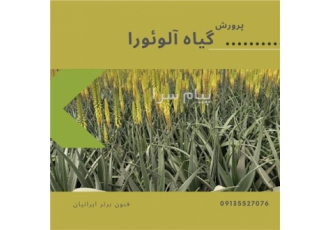 دوره آموزشی آلوئه ورا در اصفهان آلوئه ورا امروزه یکی از گیاهان مفید