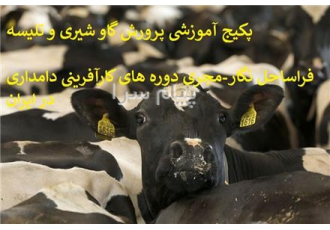 بسته آموزشی پرورش گاو شیری در تهران پکیج آموزشی صفر تا صد تاسیس و راه