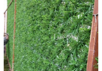 فنس چمن دیوار سبز