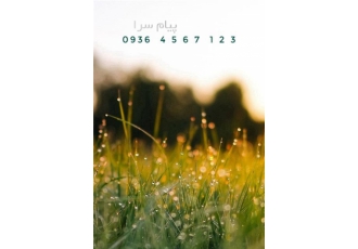 فروش خط زند خط صفر بسیار رند مناسب برای تبلیغات مناسب برای کار کارتو