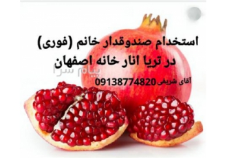صندوقدار خانم(خانه اصفهان) استخدام صندوقدار خانم در تریا ناردونه واقع