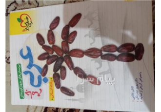 کتاب دست دوم تست انسانی عربی خیلی سبز