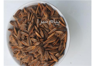 شور کاری تخمه و آجیل