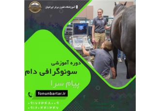 دوره اموزشی سونوگرافی دام در اصفهان انواع دستگاه های سونوگرافی قابل حمل