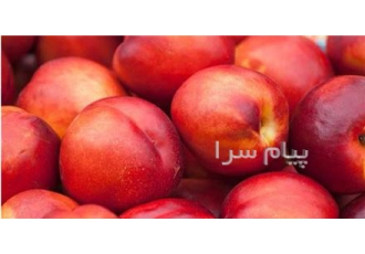 پخش میوه برای انواع مجالس عروسی ختم پخش میوه های موجود با کم ترین قیمت
