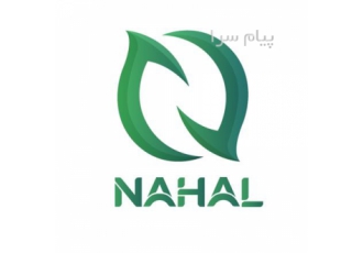 طراحی سایت در شهر قدس
