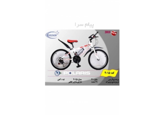 دوچرخه حرفه ای در تهران دوچرخه حرفه ای یلاریس سایز 20 ترمز بندی ویبرک