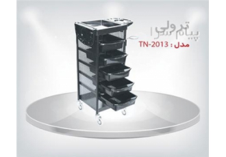 ترول آرایشگاهی TN ۲۰۱۳ در رباط کریم جنس بدنه این محصول از فلزمقاوم