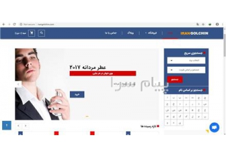 فروش دامنه ها و وب سایت های رند irangolchin در تهران فروش دامنه