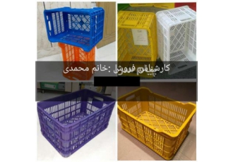 تولید و فروش سبد انگور تولید و فروش سبد درجه یک انگور سبد 20کیلویی و 25