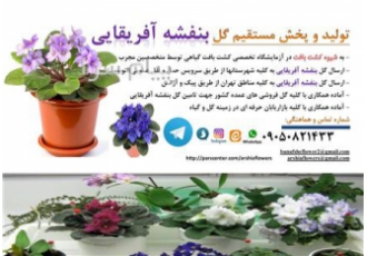 بازاریاب گل و گیاه به تعدادی بازاریاب حرفه ای در زمینه فروش گل بنفشه