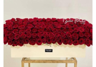 استخدام منشی خانم استخدام منشی خانم روابط عمومی قوی داشتن روحیه کار