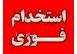 رنگ کار ماهر و زیرکارچی