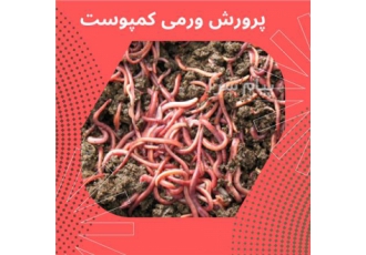 دوره آموزشی پرورش ورمی کمپوست در اصفهان اگر به دنبال کسب و کار خوب