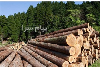 عرضه چوب روسی و فروش چوب روسی در تهران عرضه ی چوب روسی و فروش چوب روسی