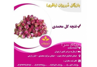 فروش عمده غنچه گل محمدی غنچه گل سرخ دارای طبع گرم و خواص بیشماری می
