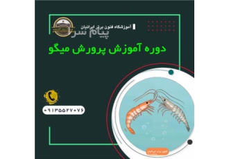 دوره آموزشی پرورش میگو در اصفهان دوره آموزشی پرورش میگو میگو از دسته