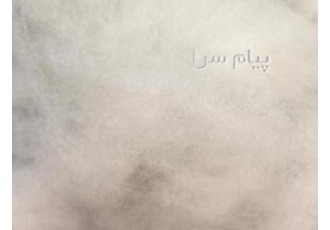 فروش پنبه حلاجی شده