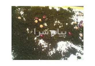 فروش پوکه ماسه ای برای بلوک در قروه با جایگزینی پوکه ماسه بجای استفاده