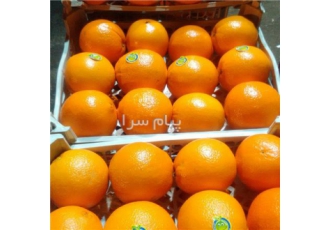 بازاریاب میوه