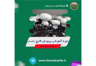 دوره آموزشی پرورش قارچ دکمه ای