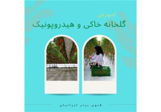 دوره اموزشی گلخانه خاکی و هیدروپونیک در اصفهان کشت هیدروپونیک به پرورش