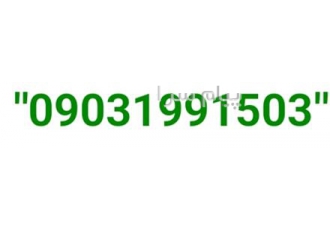 09031991503