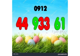 سیم کارت دائمی در تهران فروش خط 4493361 بدون زنگخور جهت دریافت لیست