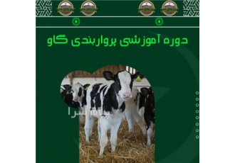 دوره آموزش پرواربندی گوساله در اصفهان دوره آموزش خصوصیات مناسب