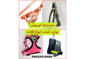 مجموعه کوروش تولید کننده انواع قلاده در گلستان مجموعه کوروش تولید کننده