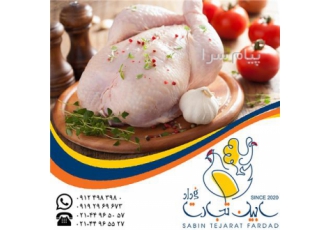 فروش سایزهای مختلف مرغ سابین تجارت